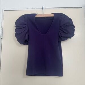Express Purple V-Neck Puff Sleeve Top